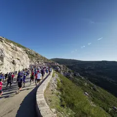 Course de running sur une route côtière, avec un grand groupe de coureurs affrontant le dénivelé Marseille Cassis sous un ciel bleu éclatant.