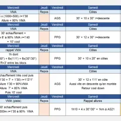 Plan d'entraînement marathon : 5 semaines avec VMA, côtes, PPG et footing. Objectif semi-marathon le dimanche.