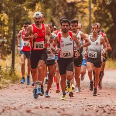 Course de marathon en pleine nature, des coureurs concentrés sur leur sortie longue.