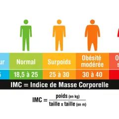 Tableau des catégories d'IMC : maigreur, normal, surpoids, obésité modérée et sévère. L'IMC sportif est calculé avec le poids et la taille.