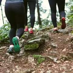 Trois personnes en tenue de sport montent un sentier rocailleux en forêt. Elles choisissent de courir ou marcher pour profiter de la nature.