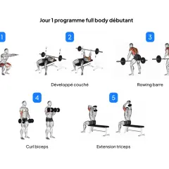 Programme musculation poids du corps pour débutants : Squat, développé couché, rowing barre, curl biceps, extension triceps.