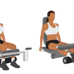 Femme effectuant un leg curl, exercice pour renforcer les ischio-jambiers.