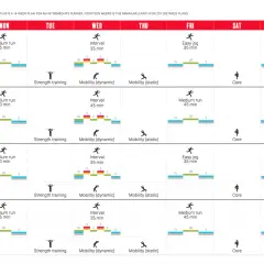Plan d'entraînement 10km sur 14 semaines pour coureurs intermédiaires. Inclut courses, intervalles, et renforcement musculaire.