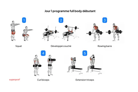 Programme musculation poids du corps pour débutants : Squat, développé couché, rowing barre, curl biceps, extension triceps.