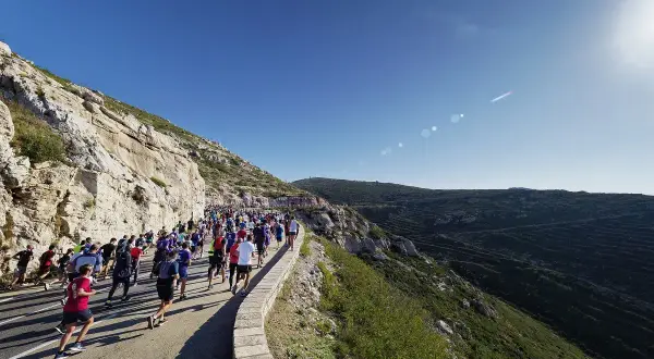 Course de running sur une route côtière, avec un grand groupe de coureurs affrontant le dénivelé Marseille Cassis sous un ciel bleu éclatant.