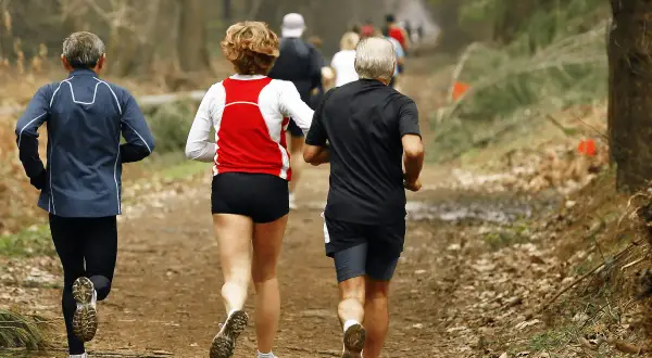 Des coureurs sur un sentier forestier, peut-être dans le cadre d'un programme 10km 40min.
