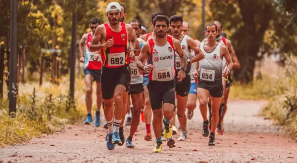 Course de marathon en pleine nature, des coureurs concentrés sur leur sortie longue.