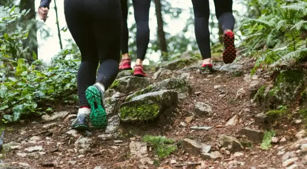 Trois personnes en tenue de sport montent un sentier rocailleux en forêt. Elles choisissent de courir ou marcher pour profiter de la nature.
