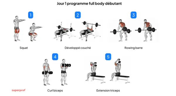 Programme musculation poids du corps pour débutants : Squat, développé couché, rowing barre, curl biceps, extension triceps.