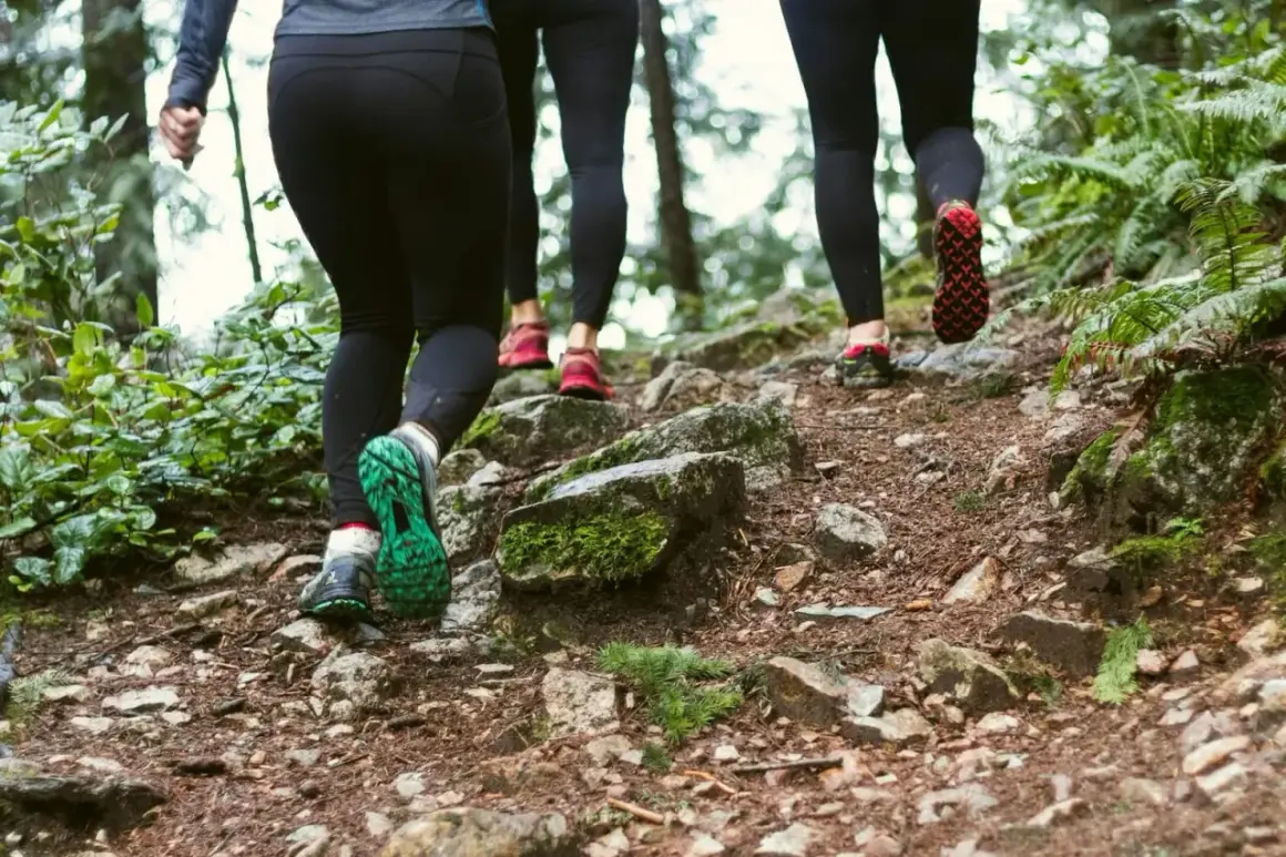 Trois personnes en tenue de sport montent un sentier rocailleux en forêt. Elles choisissent de courir ou marcher pour profiter de la nature.