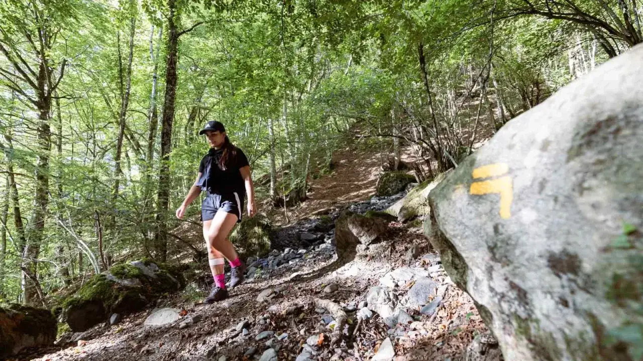Une femme suit un rando trail dans une for&ecirc;t verdoyante. Un marquage jaune sur un rocher indique le chemin.