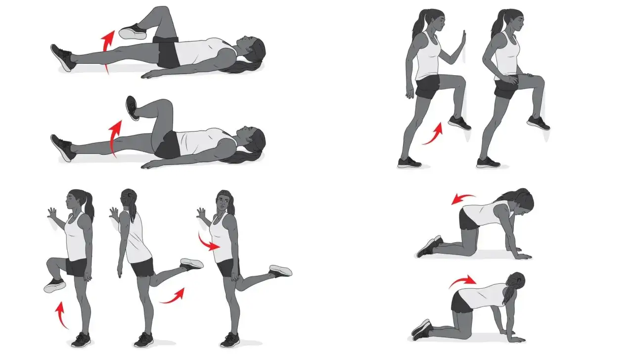 Illustrations montrant des exercices pour l'exercice hanche : mouvements au sol, montées de genoux et extensions de jambe.