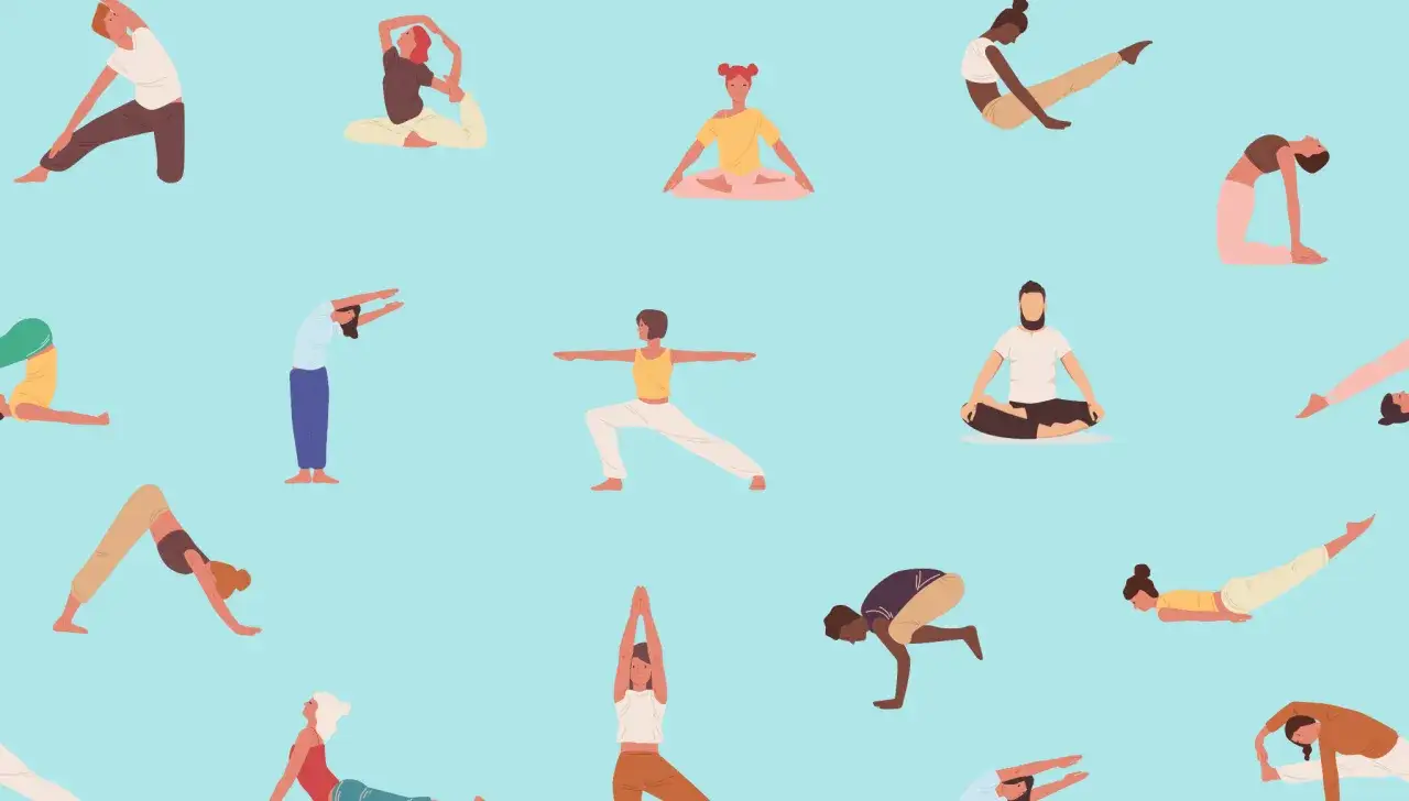 Diverses personnes pratiquent le yoga, certaines effectuent un étirement dos.