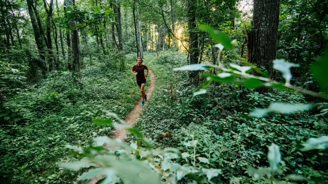 Un homme court sur une piste de course &agrave; pied sinueuse &agrave; travers une for&ecirc;t verdoyante. Le soleil filtre &agrave; travers les arbres.