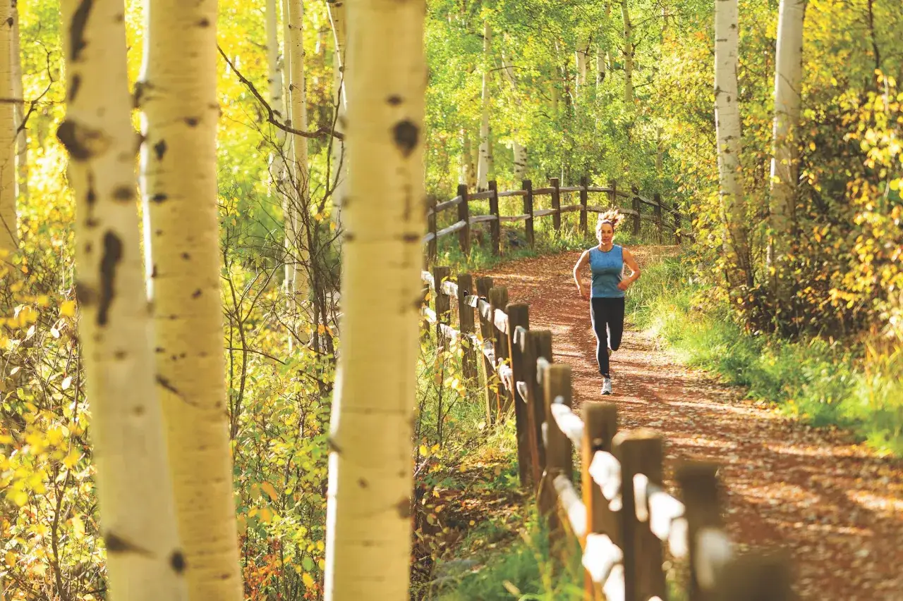 Une femme fait du footing sur un sentier forestier bordé de clôtures en bois et de bouleaux aux feuilles dorées.