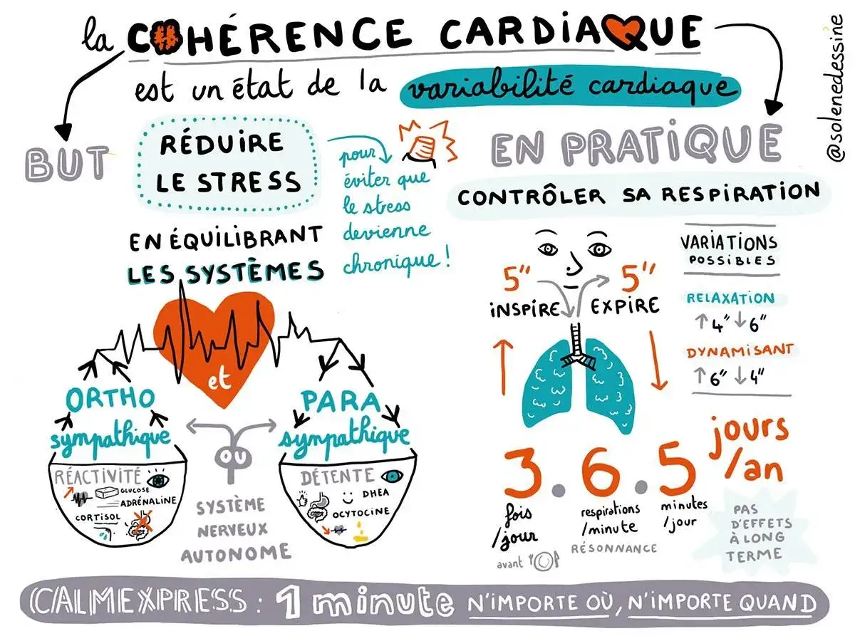 Schéma expliquant la cohérence cardiaque pour réduire le stress par la respiration. Exercice de 5 secondes inspire/expire pour un équilibre du système nerveux.