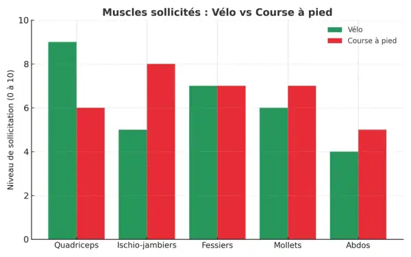 Ce tableau compare le niveau de sollicitation musculaire (vélo vs course à pied) pour les quadriceps, ischio-jambiers, fessiers, mollets et abdominaux.