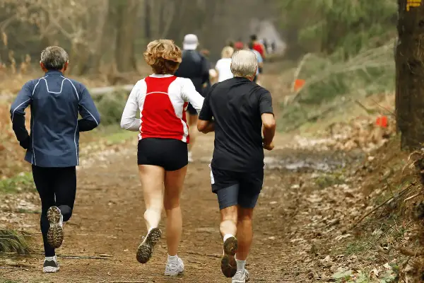 Des coureurs sur un sentier forestier, peut-être dans le cadre d'un programme 10km 40min.