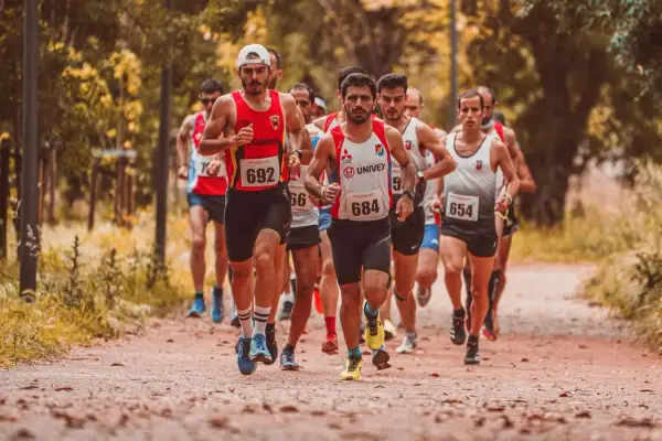 Course de marathon en pleine nature, des coureurs concentrés sur leur sortie longue.