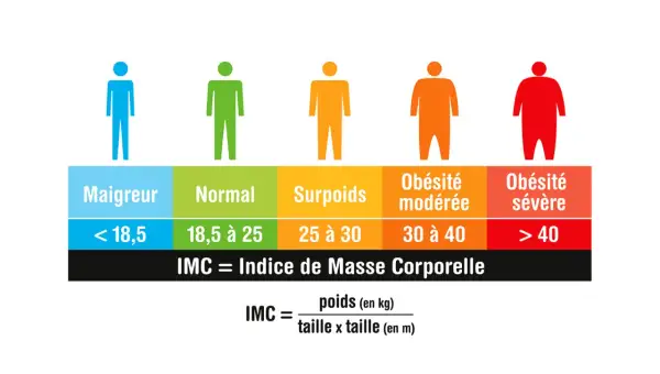 Tableau des catégories d'IMC : maigreur, normal, surpoids, obésité modérée et sévère. L'IMC sportif est calculé avec le poids et la taille.