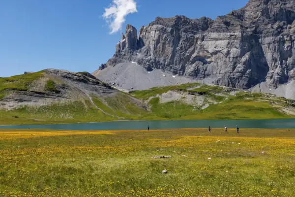 Des randonneurs profitent du tour des Fiz trail, traversant un champ de fleurs jaunes au bord d'un lac turquoise, sous un imposant massif rocheux.