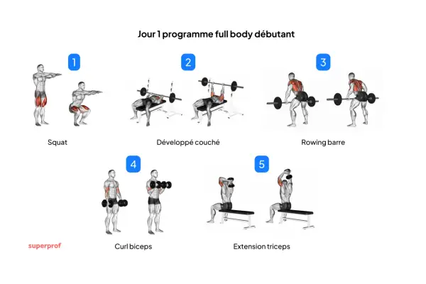 Programme musculation poids du corps pour débutants : Squat, développé couché, rowing barre, curl biceps, extension triceps.