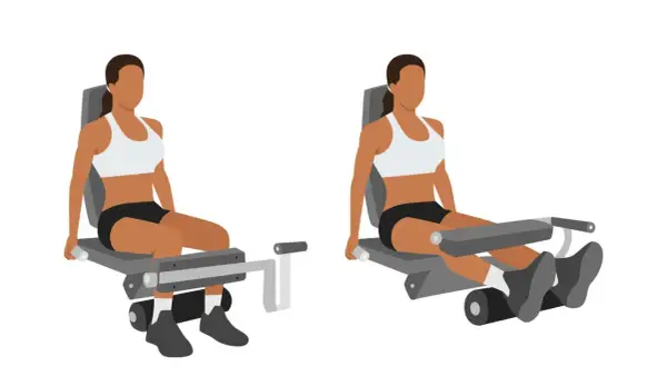 Femme effectuant un leg curl, exercice pour renforcer les ischio-jambiers.